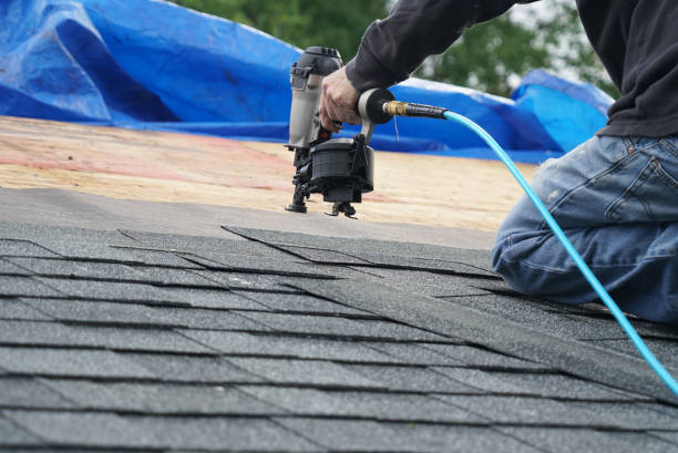 Trusted Johnson Lane, NV Roofing Services Experts