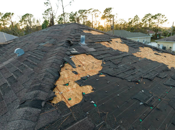Best Rubber Roofing (EPDM, TPO)  in Johnson Lane, NV